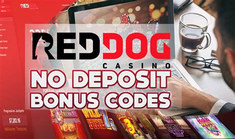 rtg no deposit bonus codes 2020|Top 10 RTG No Deposit Casino Bonus Codes .